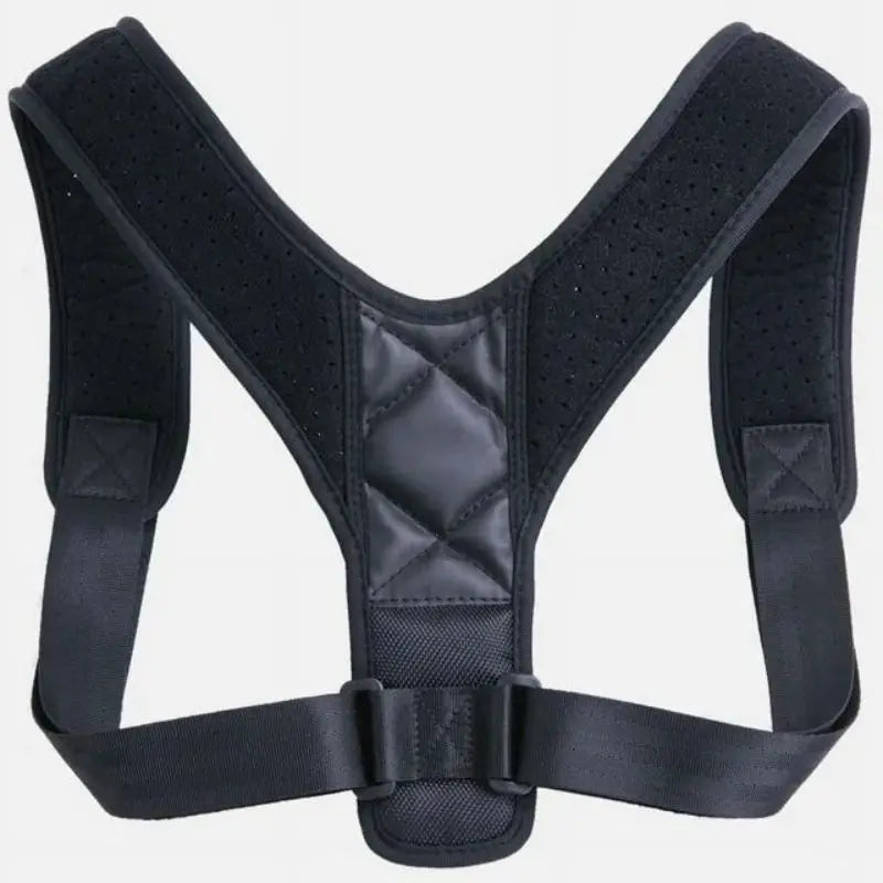 Everyday Posture Support Belt Pro